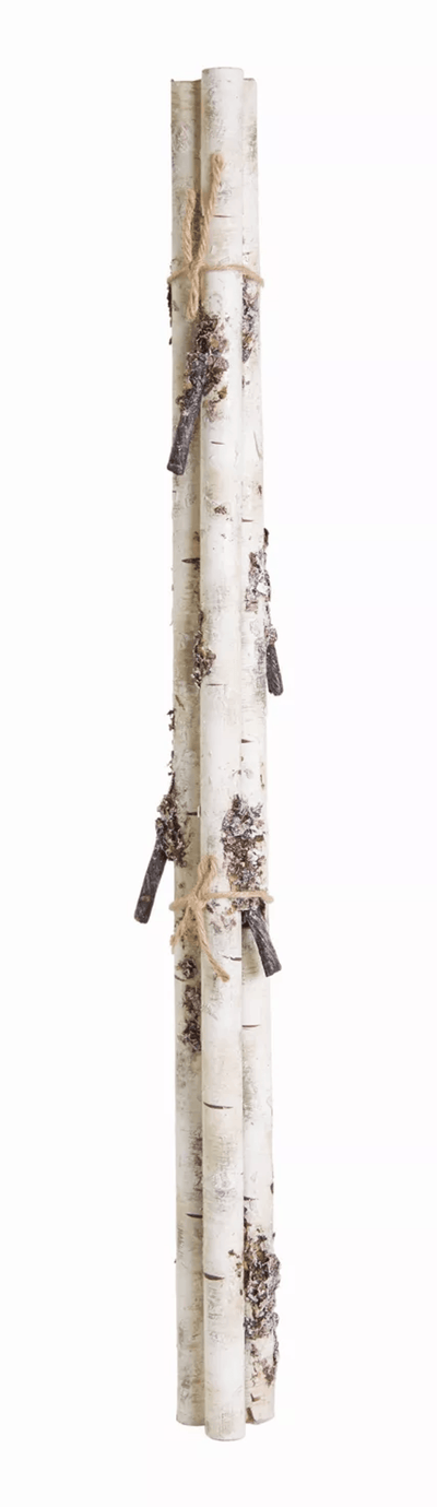 Elegant Birch Branch Bundle - Set Of 12, 26.75"H