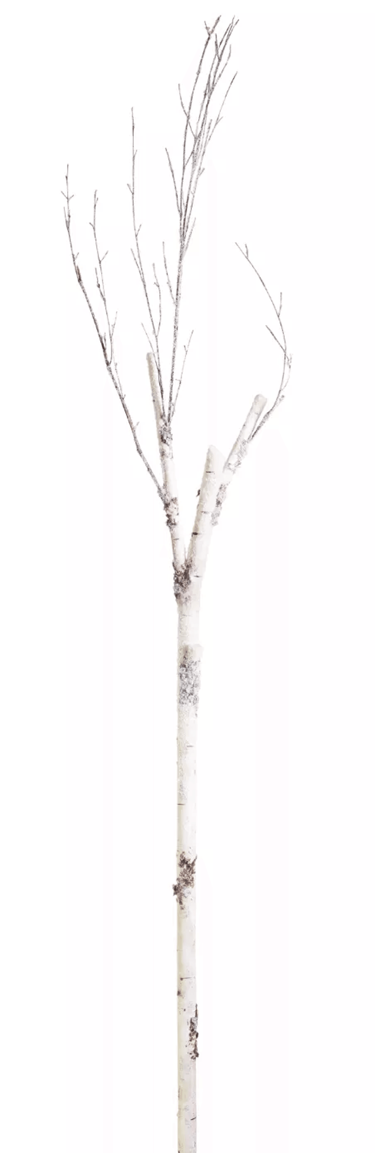 Set Of 12 83" Pvc Birch Branches For Seasonal Decor