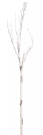 Set Of 12 83" Pvc Birch Branches For Seasonal Decor