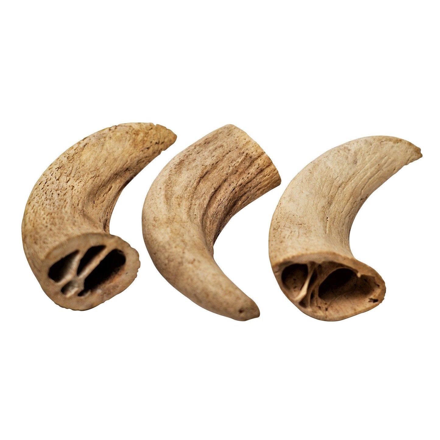 Water Buffalo Horn Core Dog Chews - Crunchy Dental Treats for Aggressive & Powerful Chewers