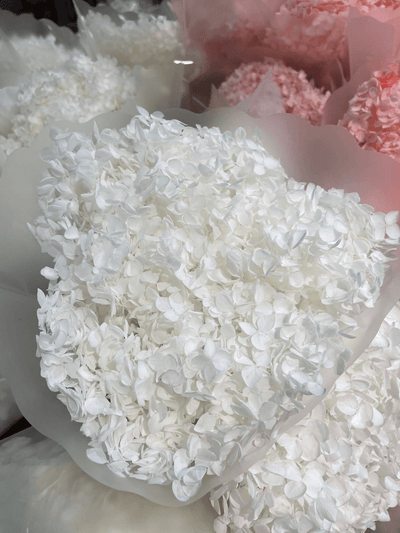 Elegant Preserved Hydrangeas - Dried Floral Décor