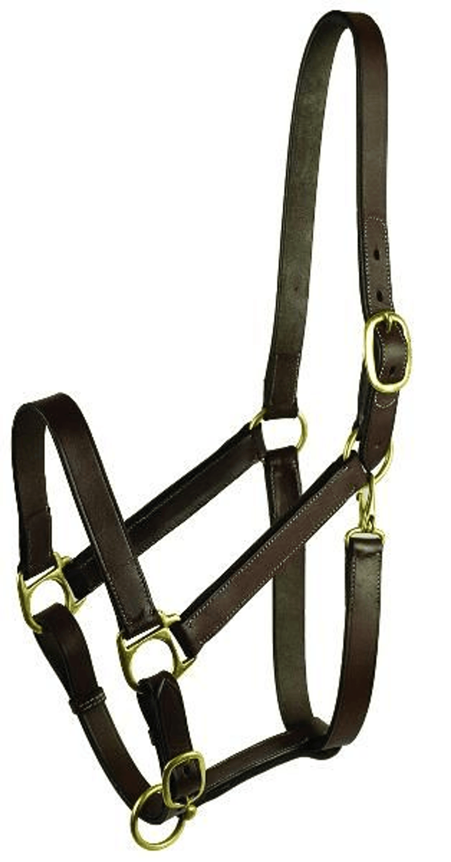 Gatsby Adjustable Leather Turnout Halter with Solid Brass Hardware