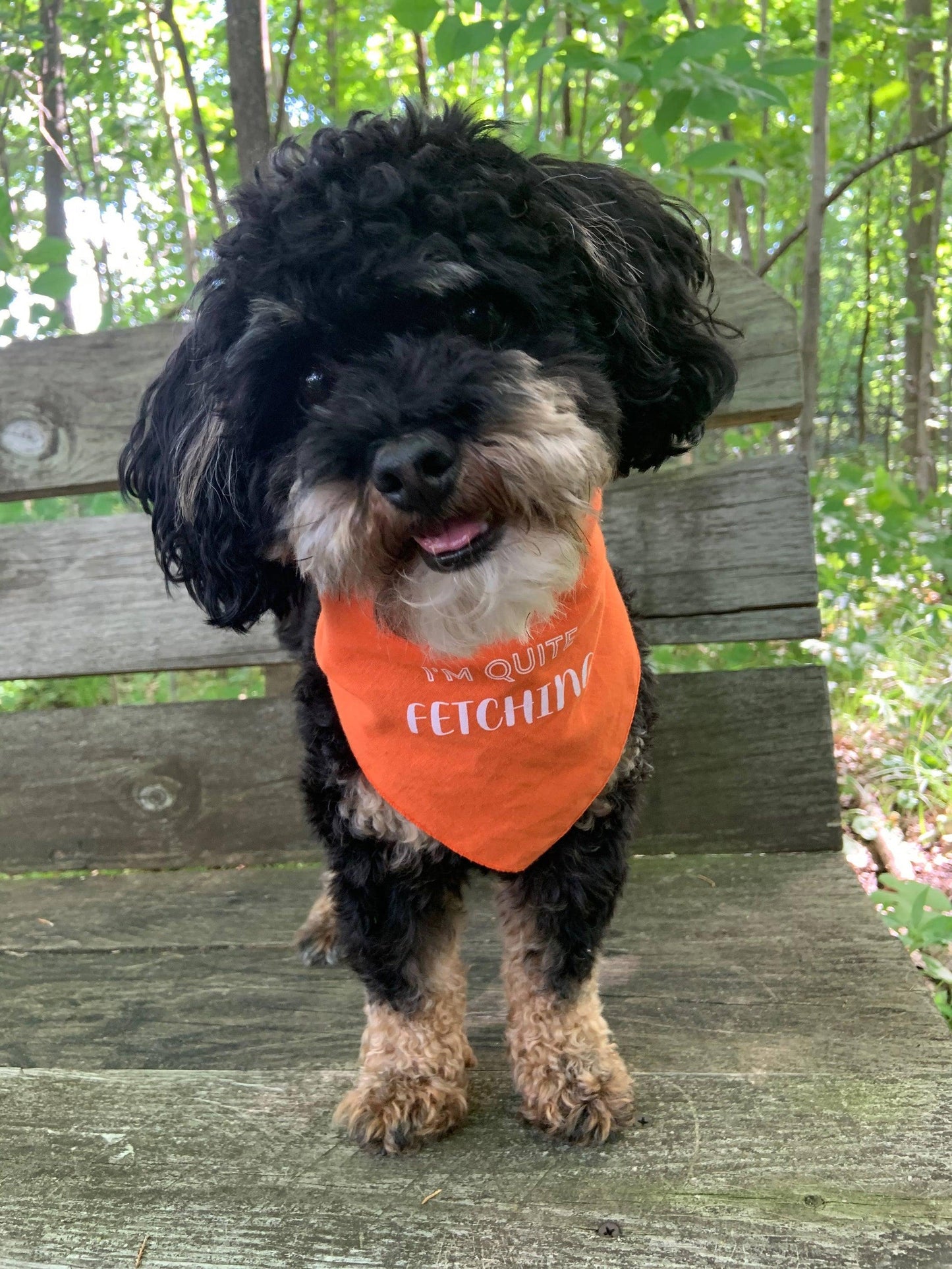 I'm Quite Fetching - Sentimental Pet Bandana