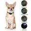 Waterproof Electric Dog Training Shock Collar with Long-Distance Remote Control