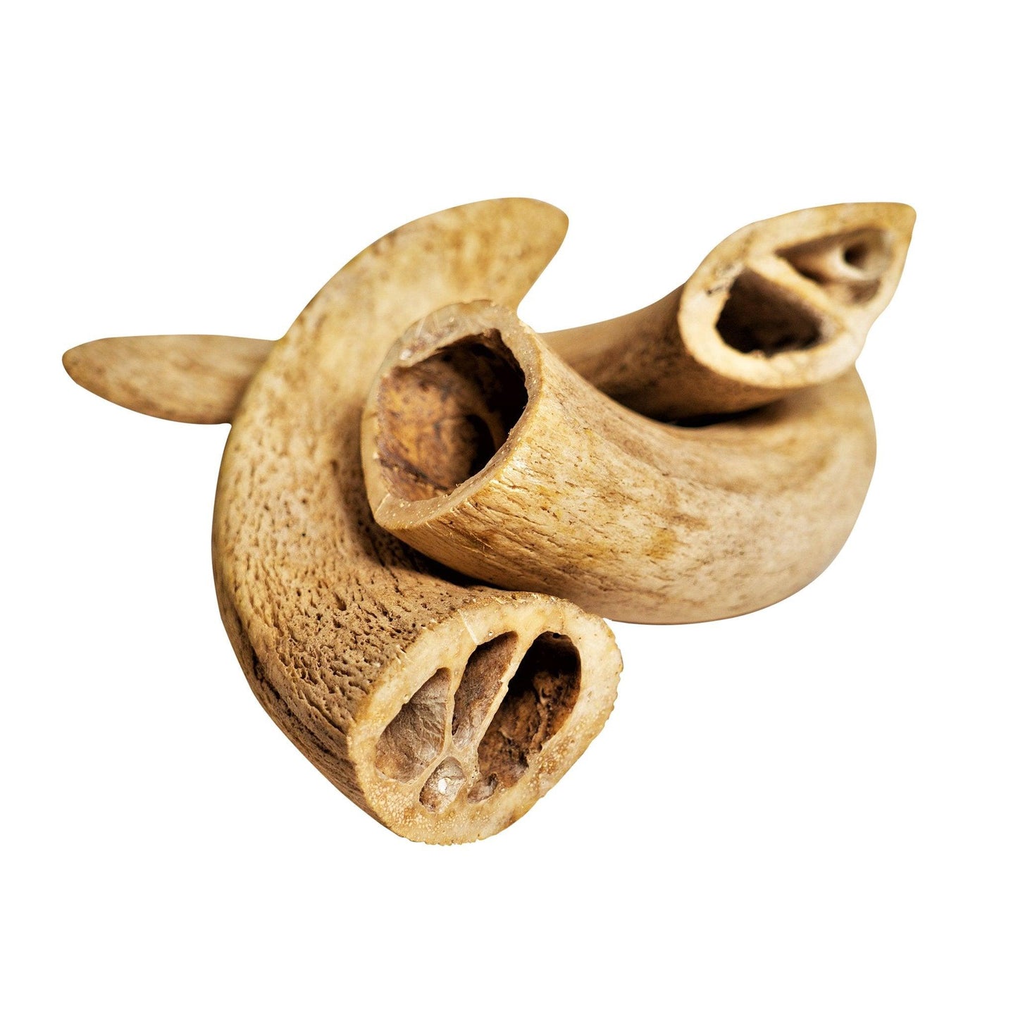 Water Buffalo Horn Core Dog Chews - Crunchy Dental Treats for Aggressive & Powerful Chewers