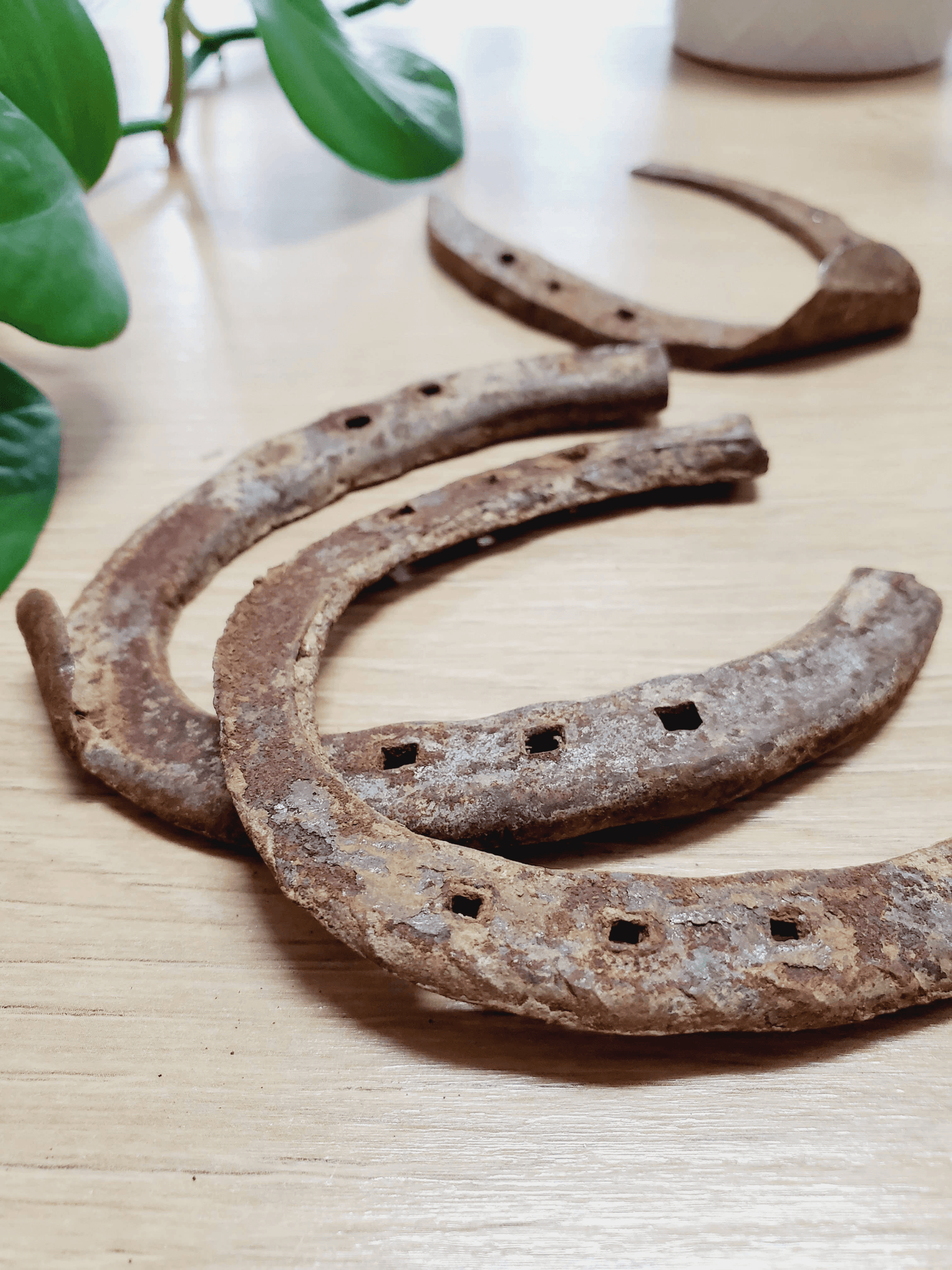 Authentic Well-Worn Horseshoe For Good Luck