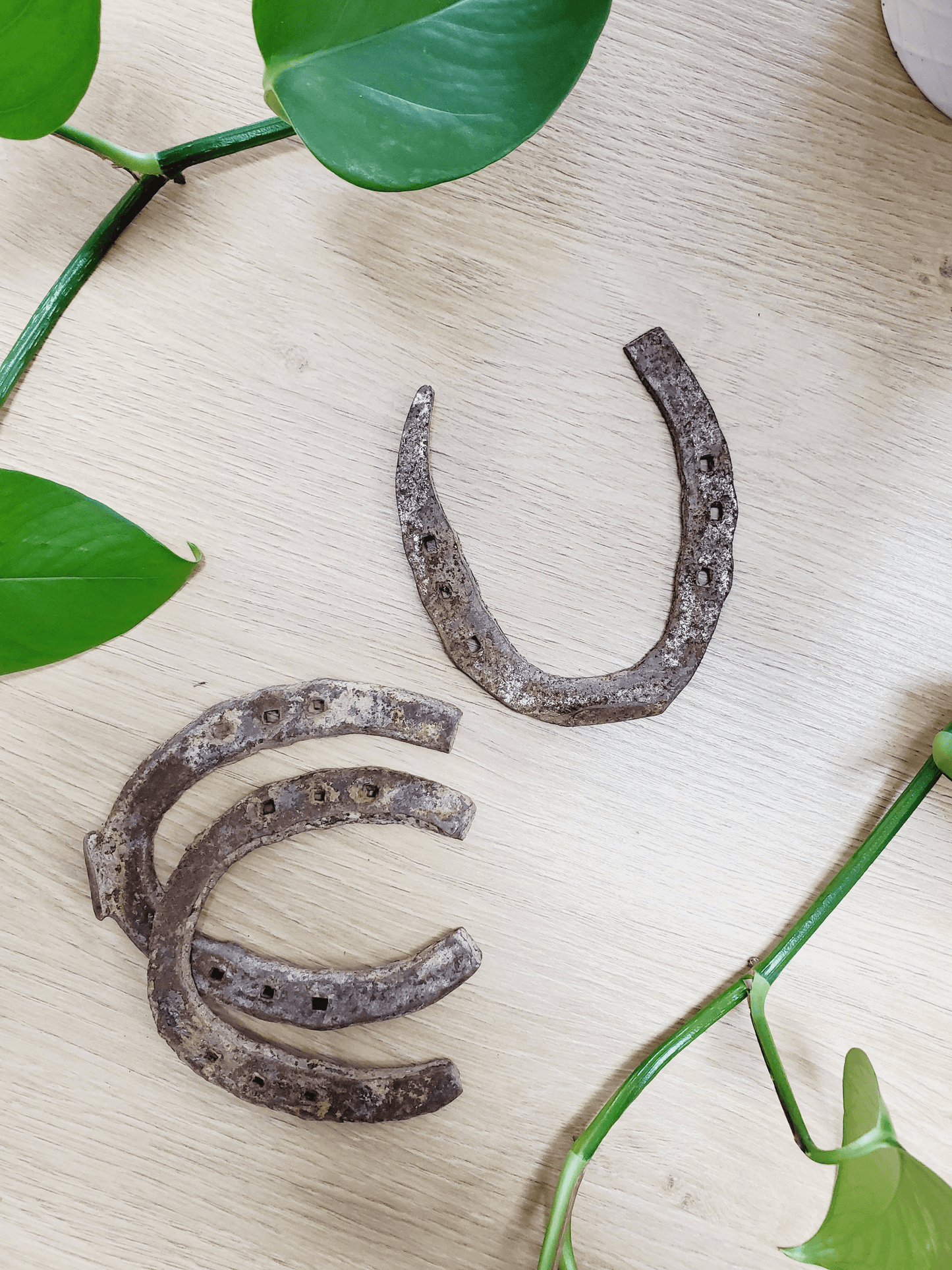 Authentic Well-Worn Horseshoe For Good Luck