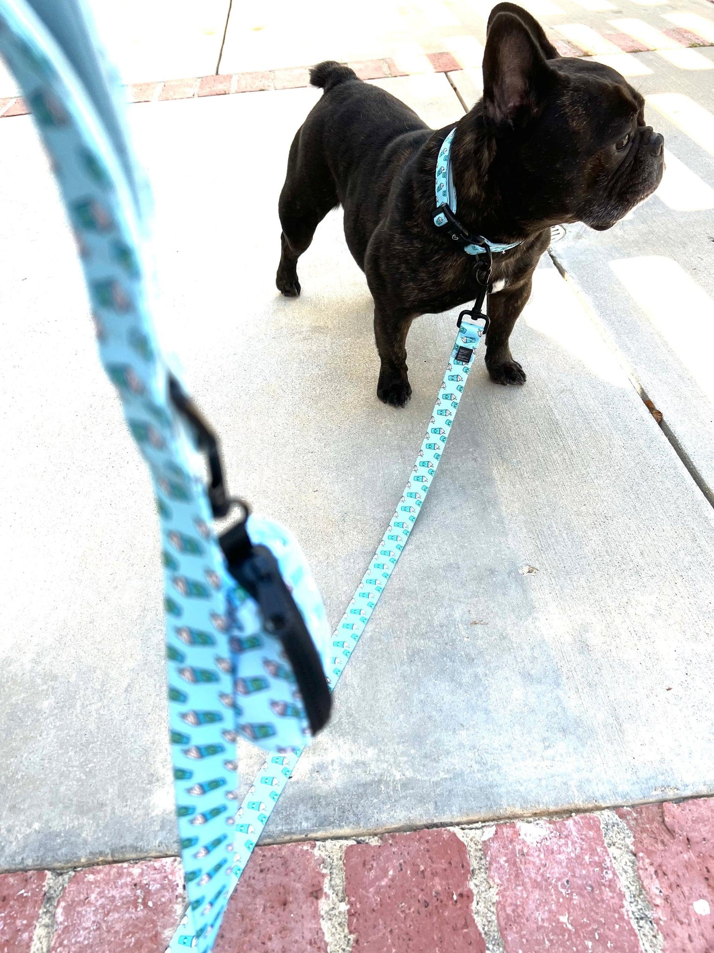 Pupshake Blue Comfort Collar with Neoprene Padding