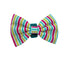 Mina + Pup Beach Bum Bow Tie: Beach Towel Stripes