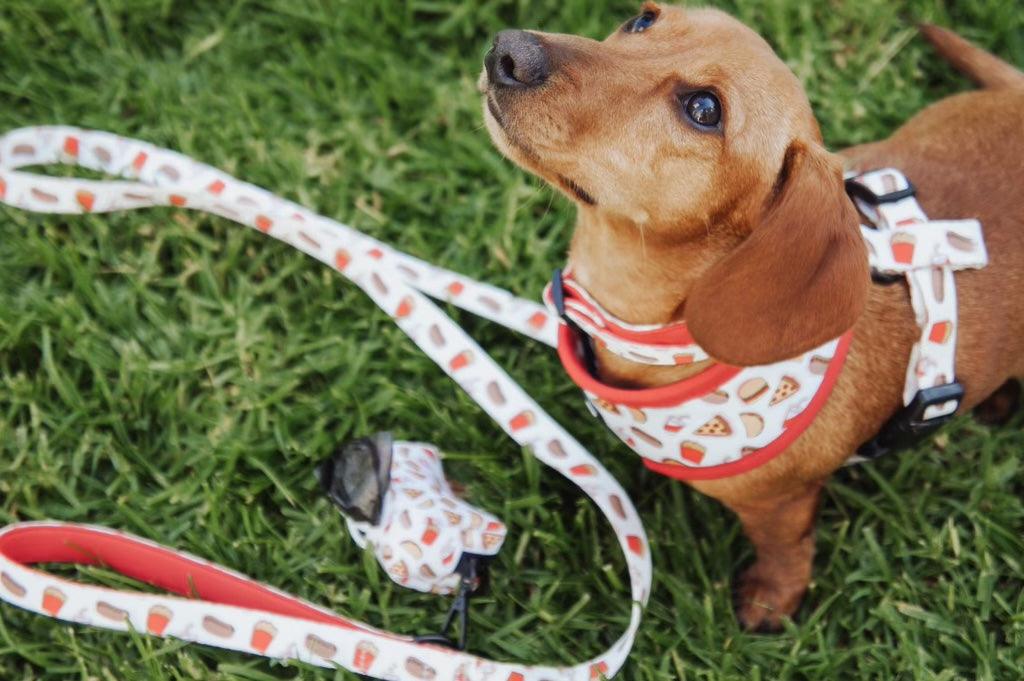 Mina Drive-In Diner Reversible Dog Harness