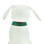 Elegant Christmas Lights Dog Collar