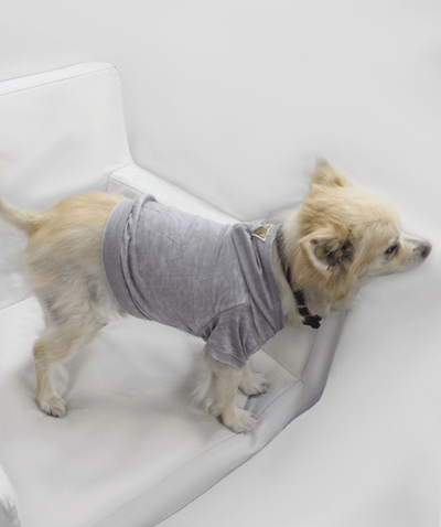 Premium Burnout Wash Doggy and Kitty Hoodie for Comfort and Style