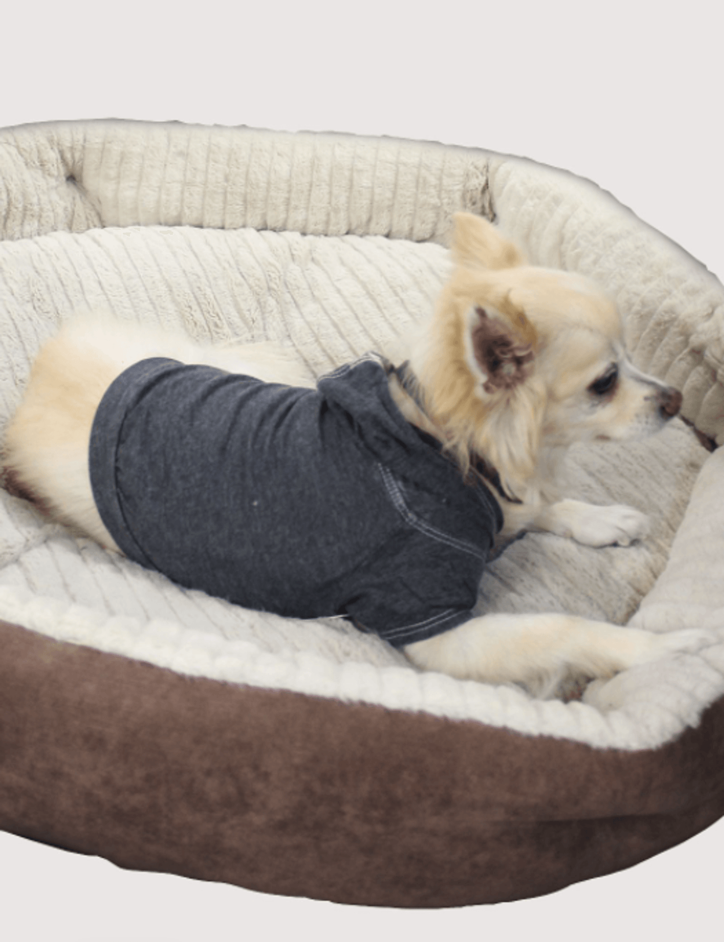 Premium Burnout Wash Doggy and Kitty Hoodie for Comfort and Style