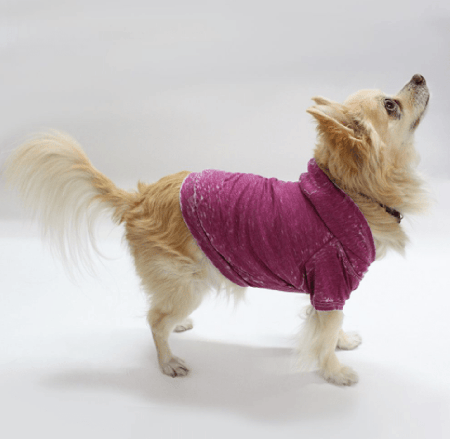 Premium Burnout Wash Doggy and Kitty Hoodie for Comfort and Style