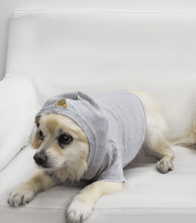 French Terry Hoodie for Dogs and Cats - Cozy Comfort Attire