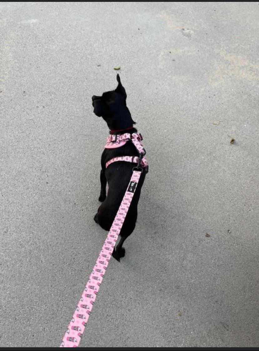 Pupshake Neoprene Adjustable Harness in Pink by Mina + Pup