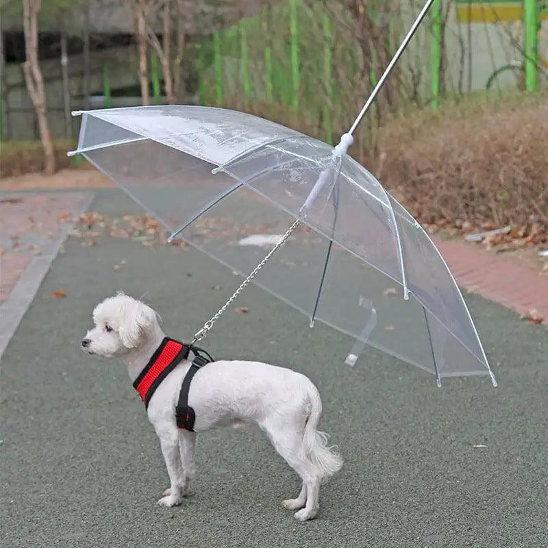 Weatherproof Pet Umbrella Leash