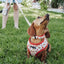 Mina Drive-In Diner Reversible Dog Harness