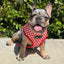 Mina Drive-In Diner Reversible Dog Harness