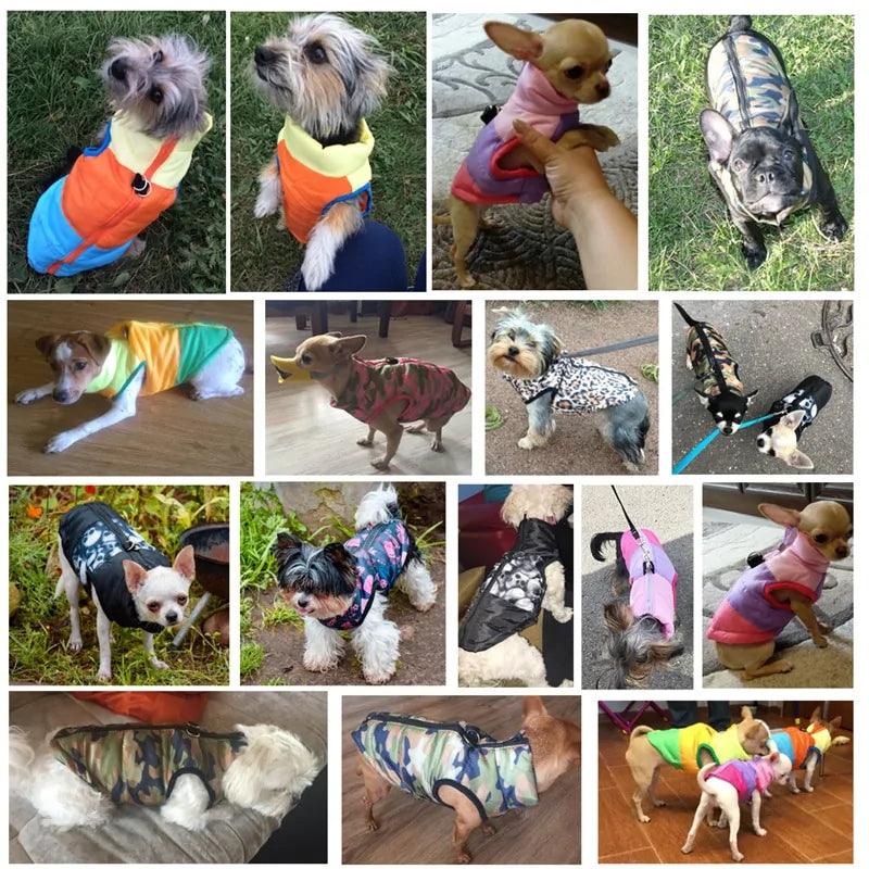 Winter Dog Vest with Waterproof Design & Easy Zipper Access