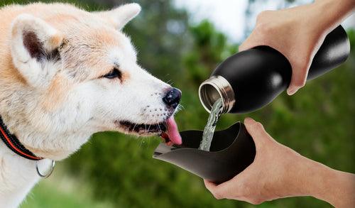 Mobile Dog Gear 25 Oz Stainless Steel Water Bottle with Integrated Bowl for Dogs