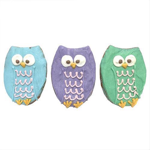 Premium Owl Treats for Pets - Large Size, Assorted Flavors, Case of 12