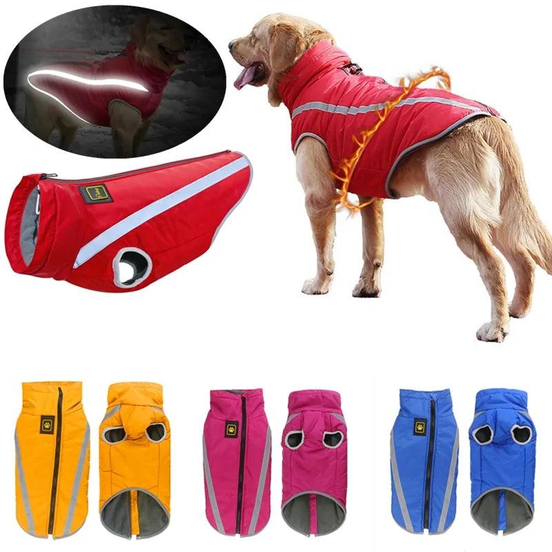 Waterproof Large Dog Coat Jacket: Ultimate Protection & Style