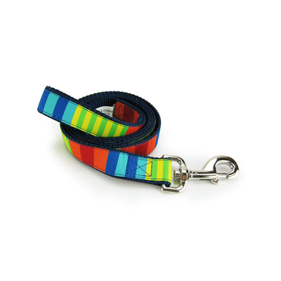 Vibrant Nylon Dog Leash with Durable Design - Party Stripes