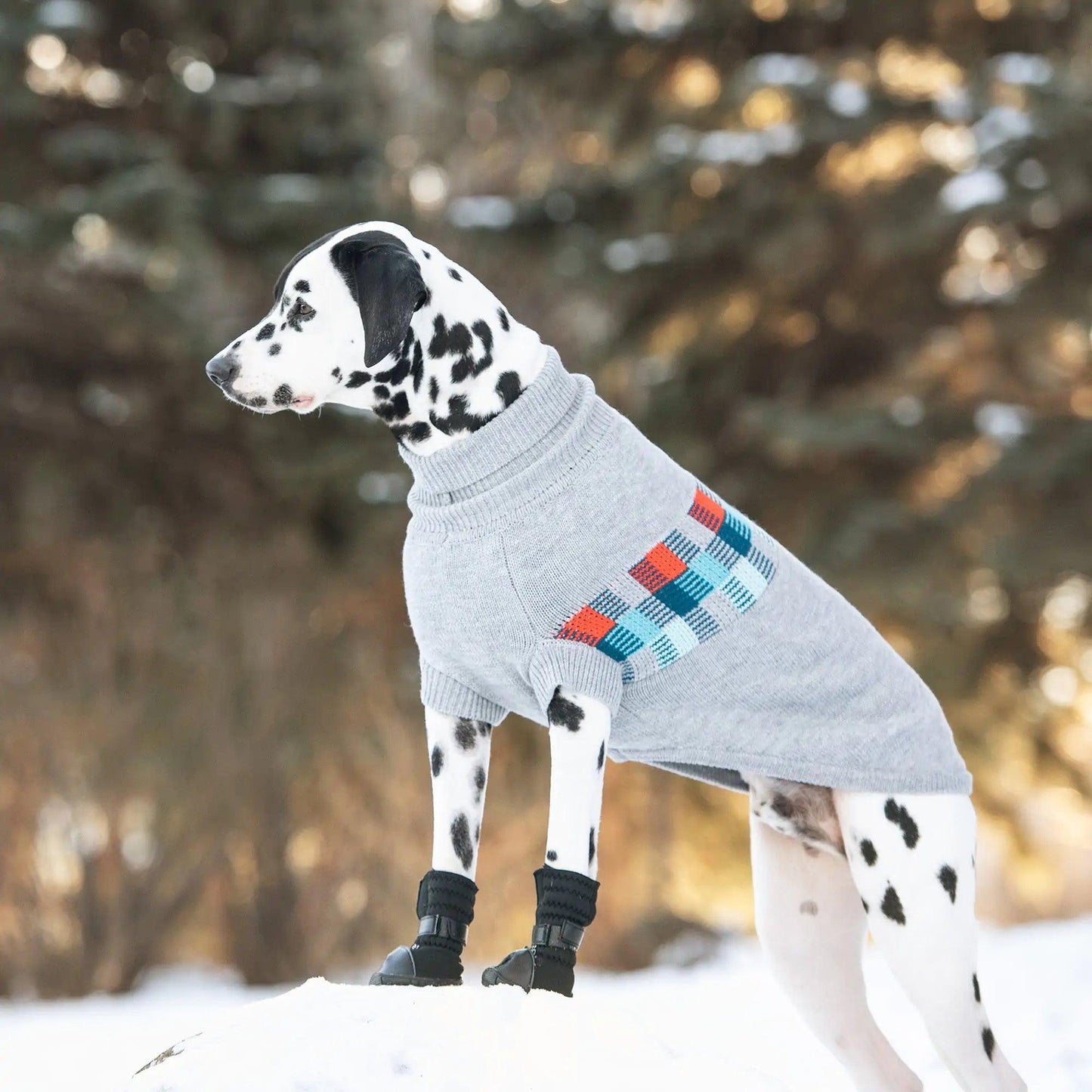 Winter Sailor Turtleneck Dog Sweater - Grey Mix: Retro Chic Canine Comfort