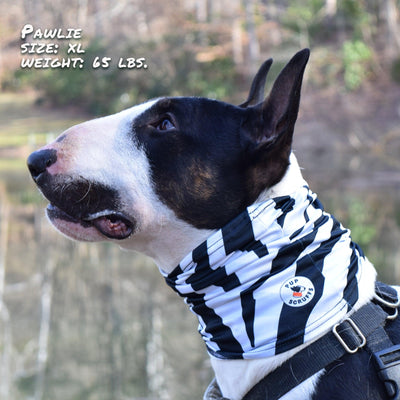 Zebra Pup Scruff - Effortlessly Stylish and Comfortable Dog Apparel