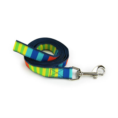 Vibrant Nylon Dog Leash with Durable Design - Party Stripes