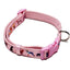 Adjustable Premium Dog Collar with Tailored Fit - Dog Hugs Cat