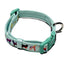 Adjustable Premium Dog Collar with Tailored Fit - Dog Hugs Cat