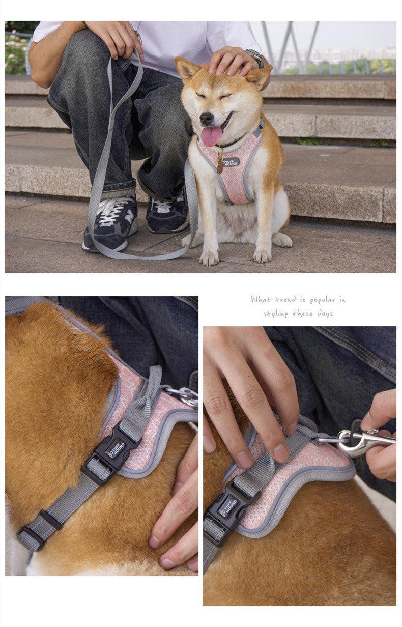 Adventure Paws Dog Harness And Leash Set - Dog Hugs Cat