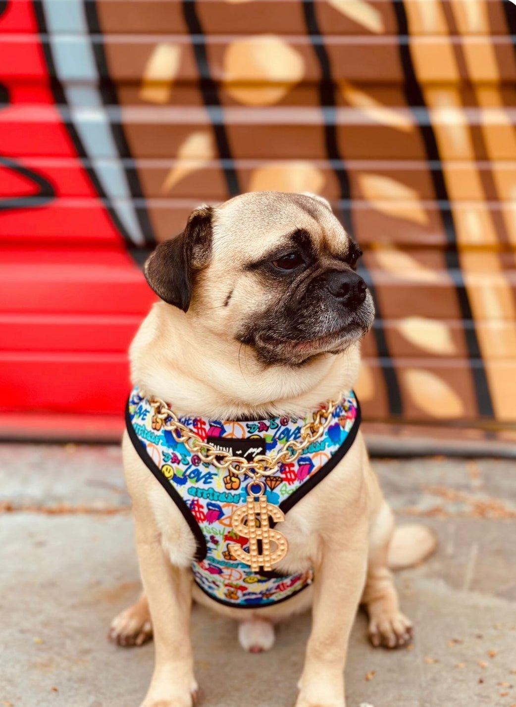 Attitude Collection: Graffiti Edition Bundle - Adjustable Harness, Comfort Leash, and Poop Bag - Dog Hugs Cat