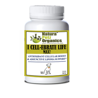 Cellular Health Support for Pets: I Cell - ebrate Life Max - Dog Hugs Cat