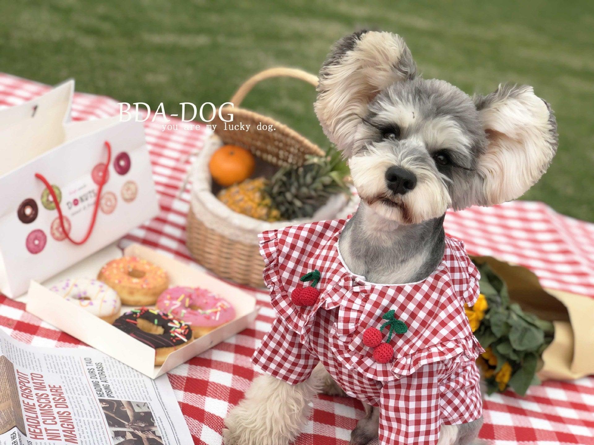 Checkered Summer Dog Shirt: Stylish And Breathable For Small Dogs - Dog Hugs Cat