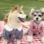 Checkered Summer Dog Shirt: Stylish And Breathable For Small Dogs - Dog Hugs Cat