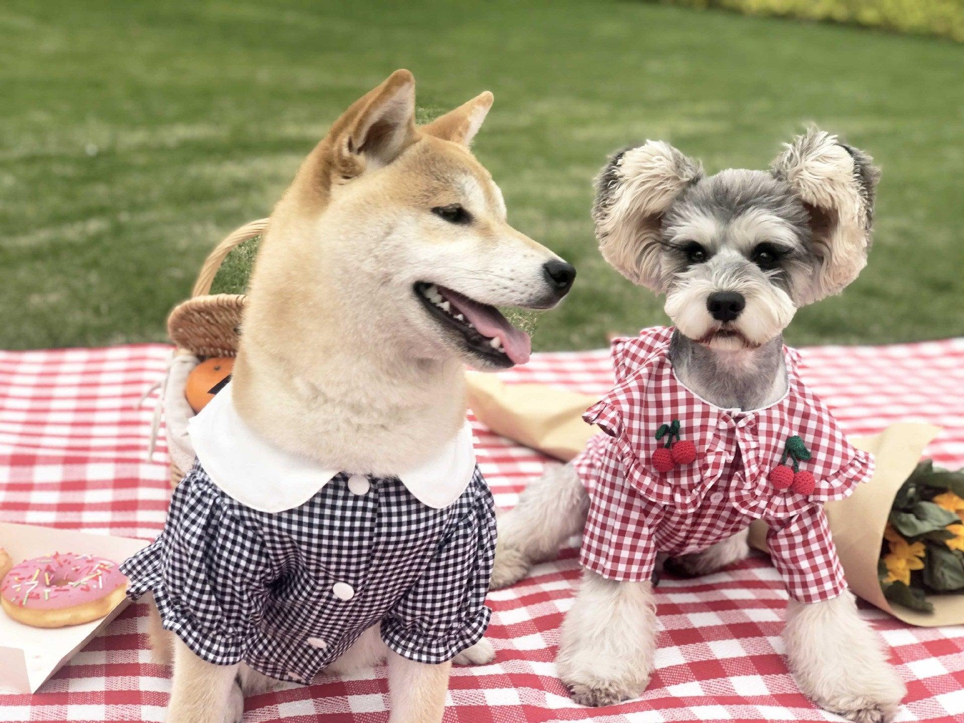 Checkered Summer Dog Shirt: Stylish And Breathable For Small Dogs - Dog Hugs Cat