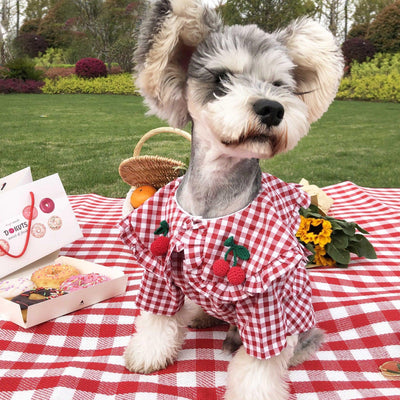 Checkered Summer Dog Shirt: Stylish And Breathable For Small Dogs - Dog Hugs Cat