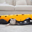 Cheese Cat Adventure Tunnel - Dog Hugs Cat