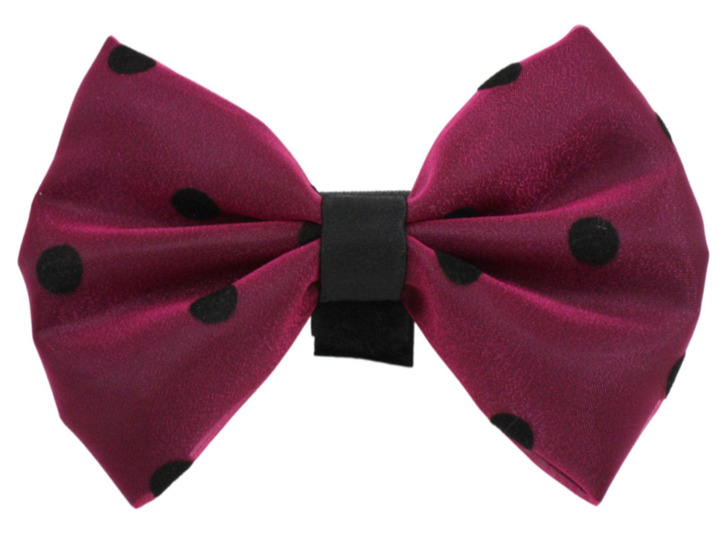 Chic Polka Dot Bow with Velcro Fastener for Pets - Dog Hugs Cat