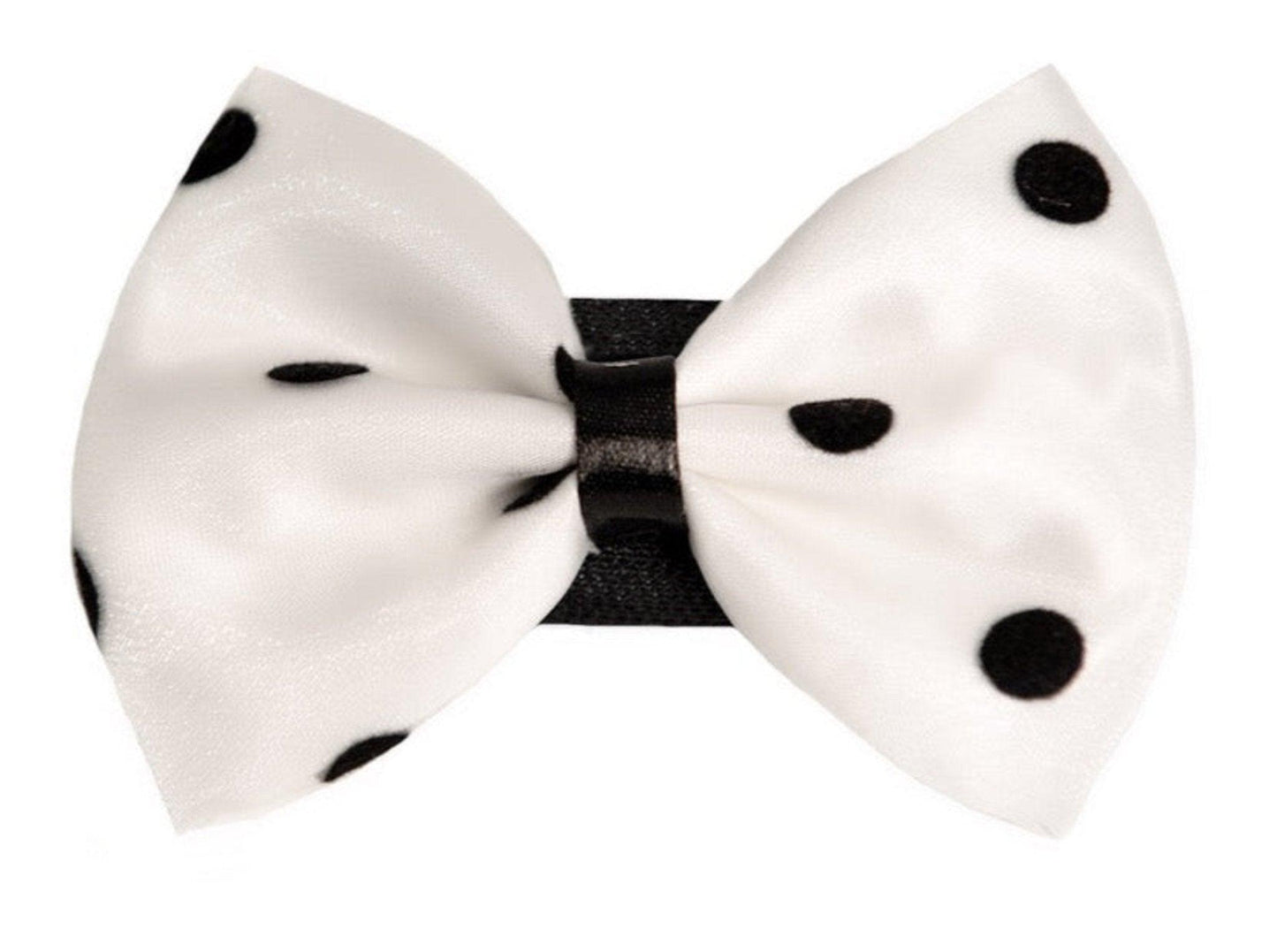 Chic Polka Dot Bow with Velcro Fastener for Pets - Dog Hugs Cat