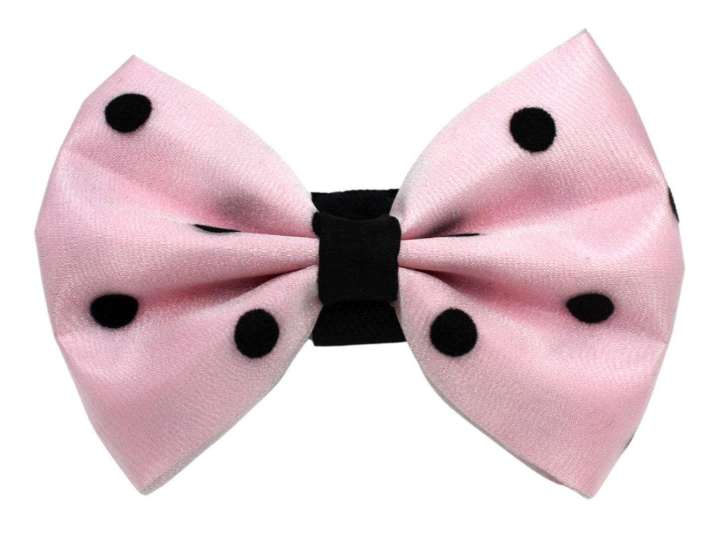 Chic Polka Dot Bow with Velcro Fastener for Pets - Dog Hugs Cat