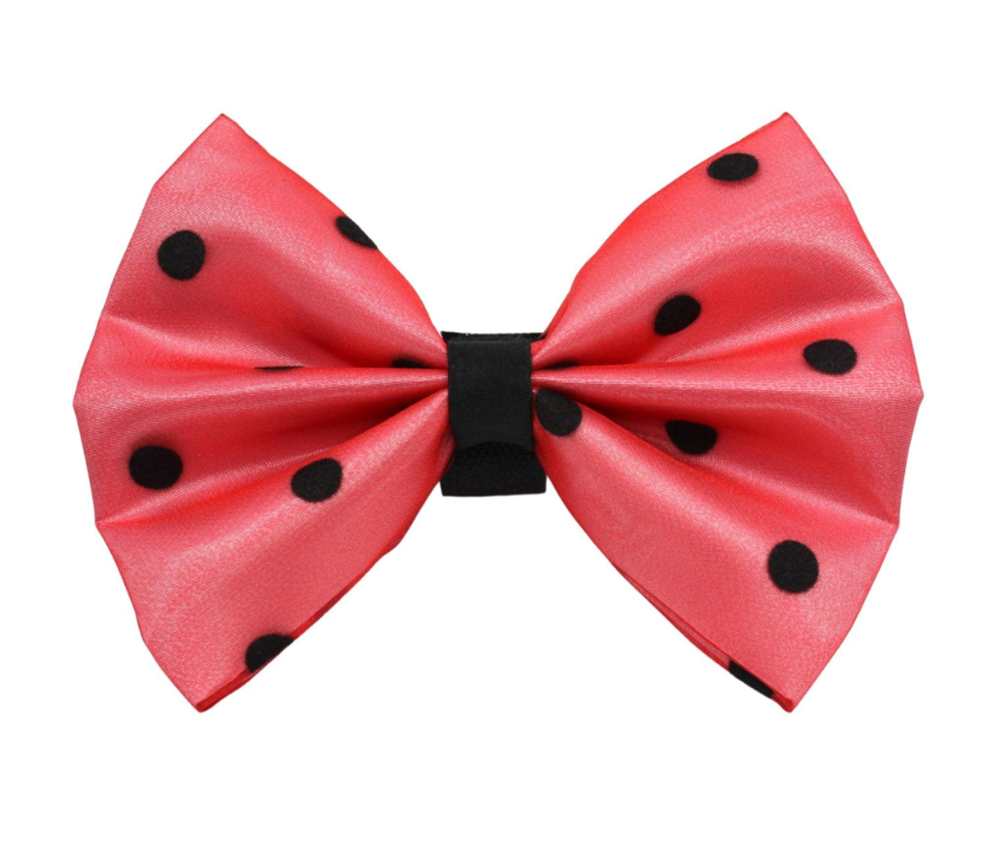 Chic Polka Dot Bow with Velcro Fastener for Pets - Dog Hugs Cat