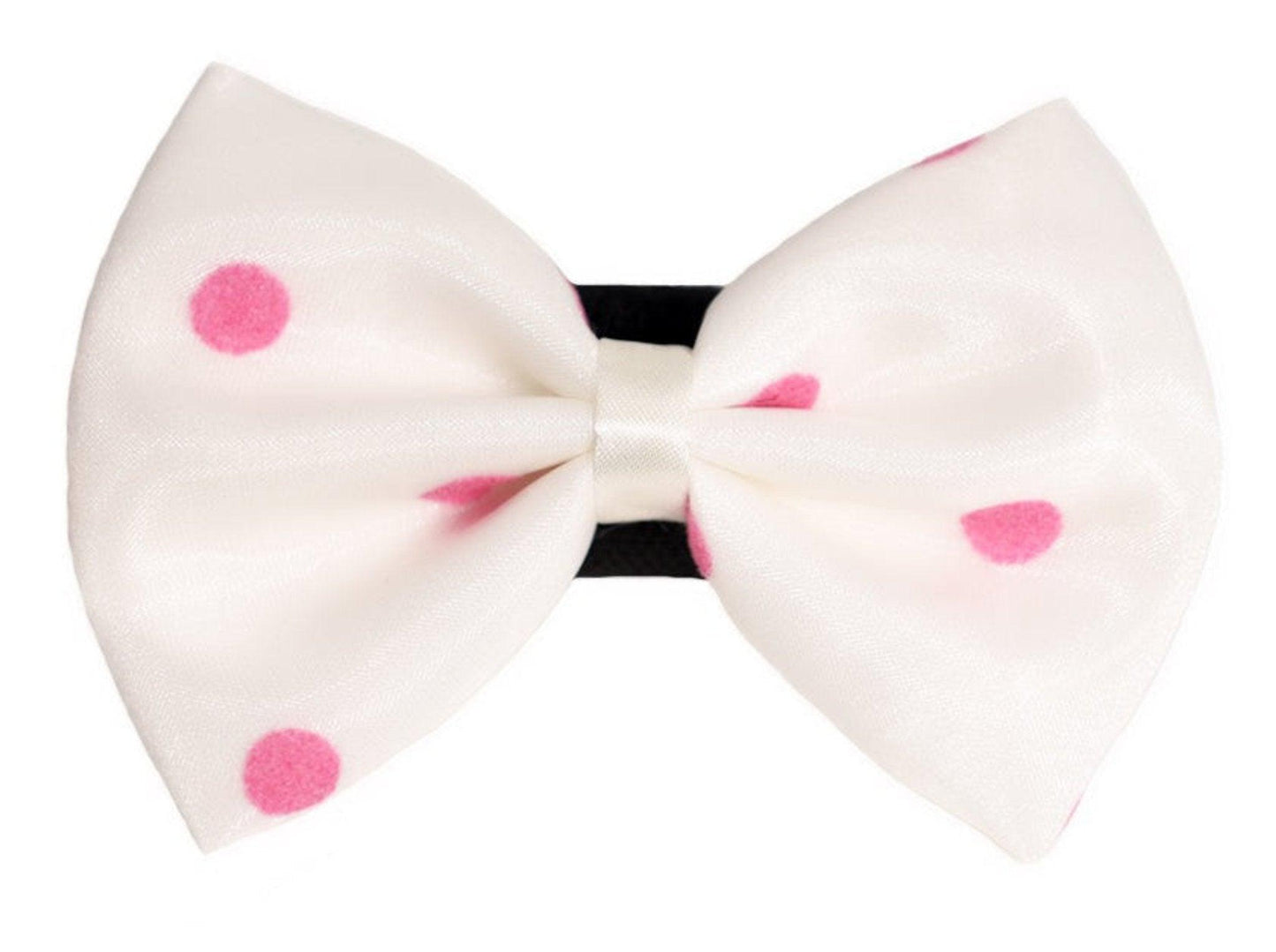 Chic Polka Dot Bow with Velcro Fastener for Pets - Dog Hugs Cat