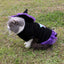 Christmas Enchanter Pet Halloween Dog Costume - Dog Hugs Cat