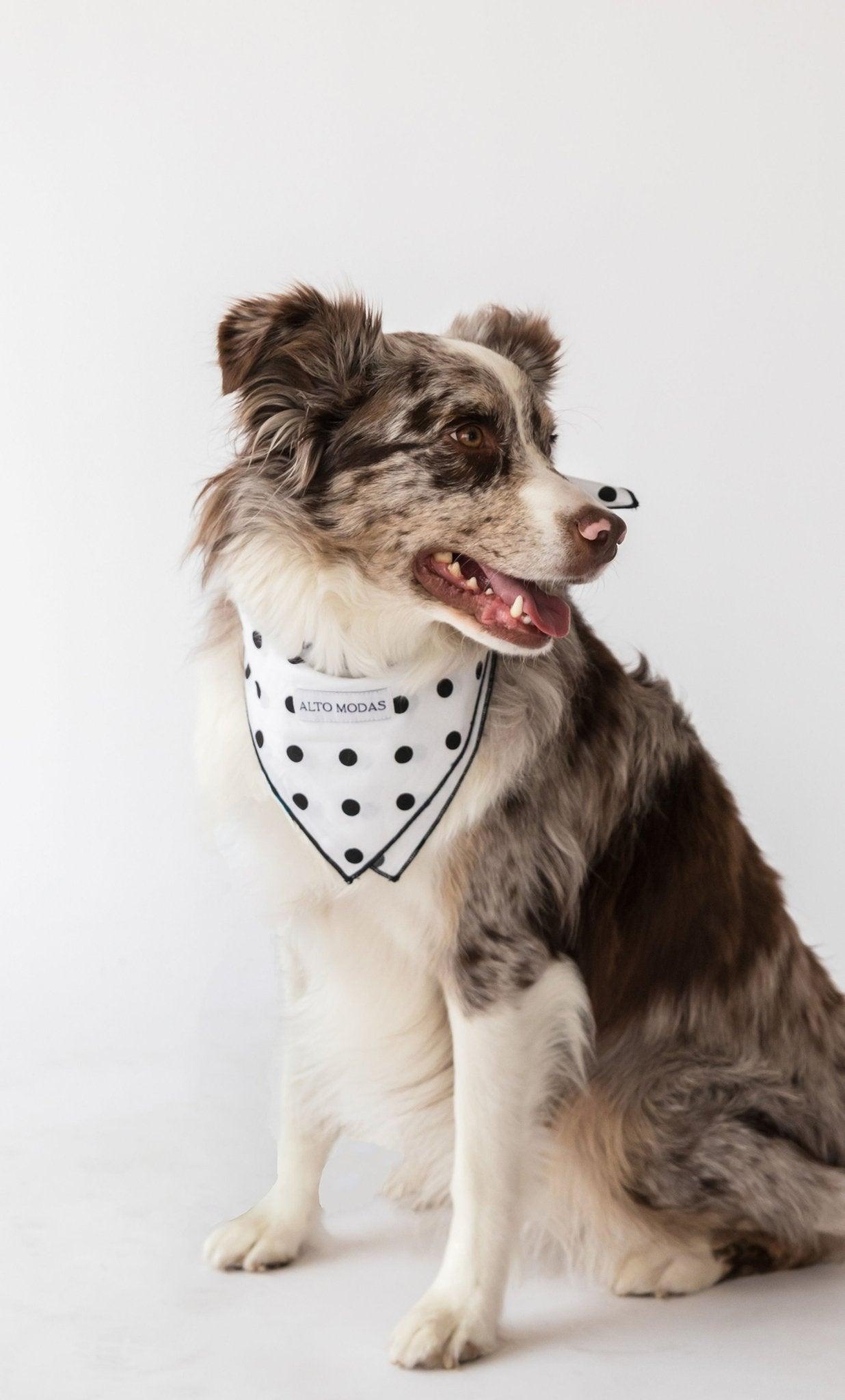 Classic Red & White Dots Seersucker Dog Bandana - Dog Hugs Cat