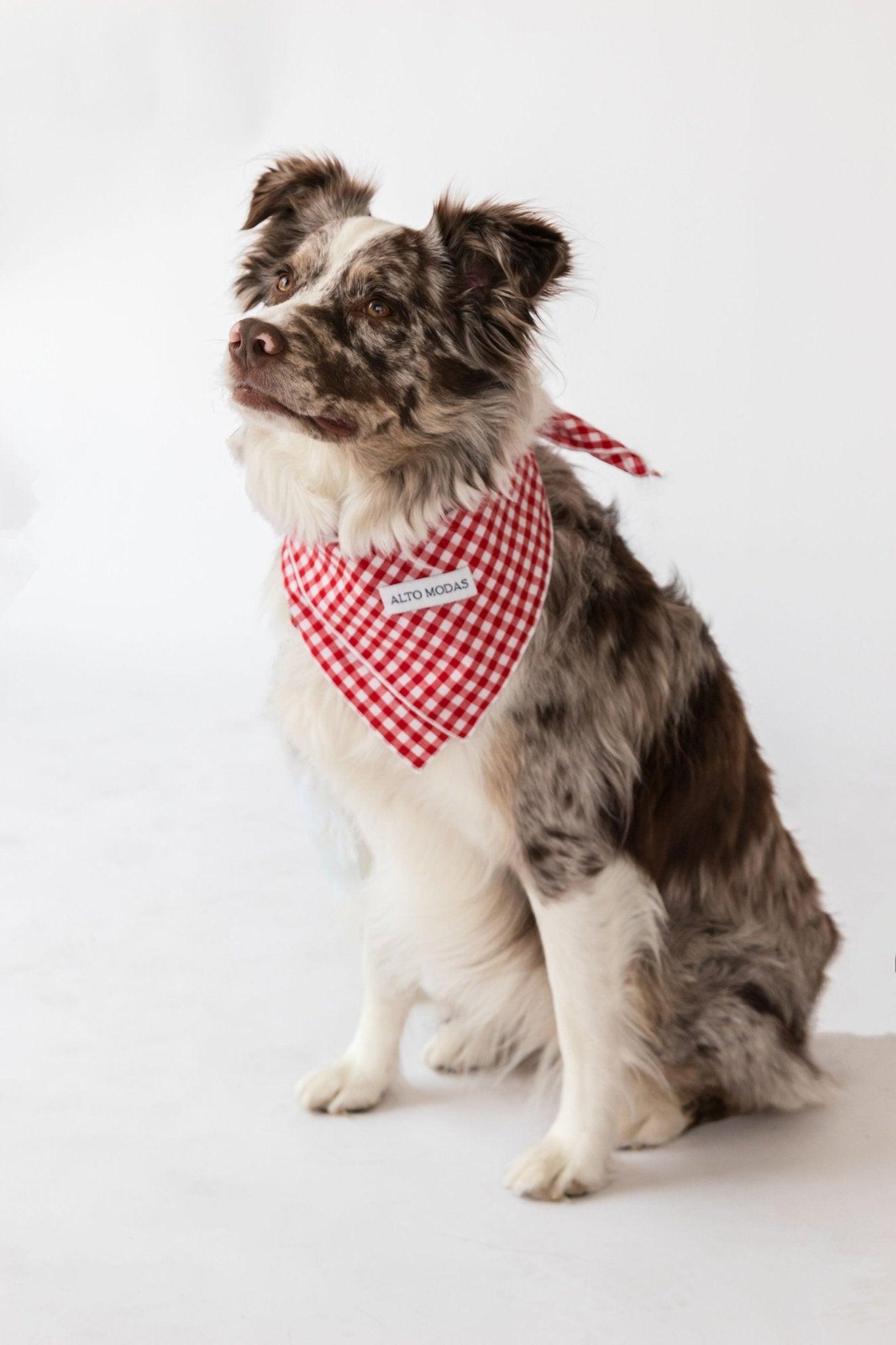 Classic Red & White Dots Seersucker Dog Bandana - Dog Hugs Cat