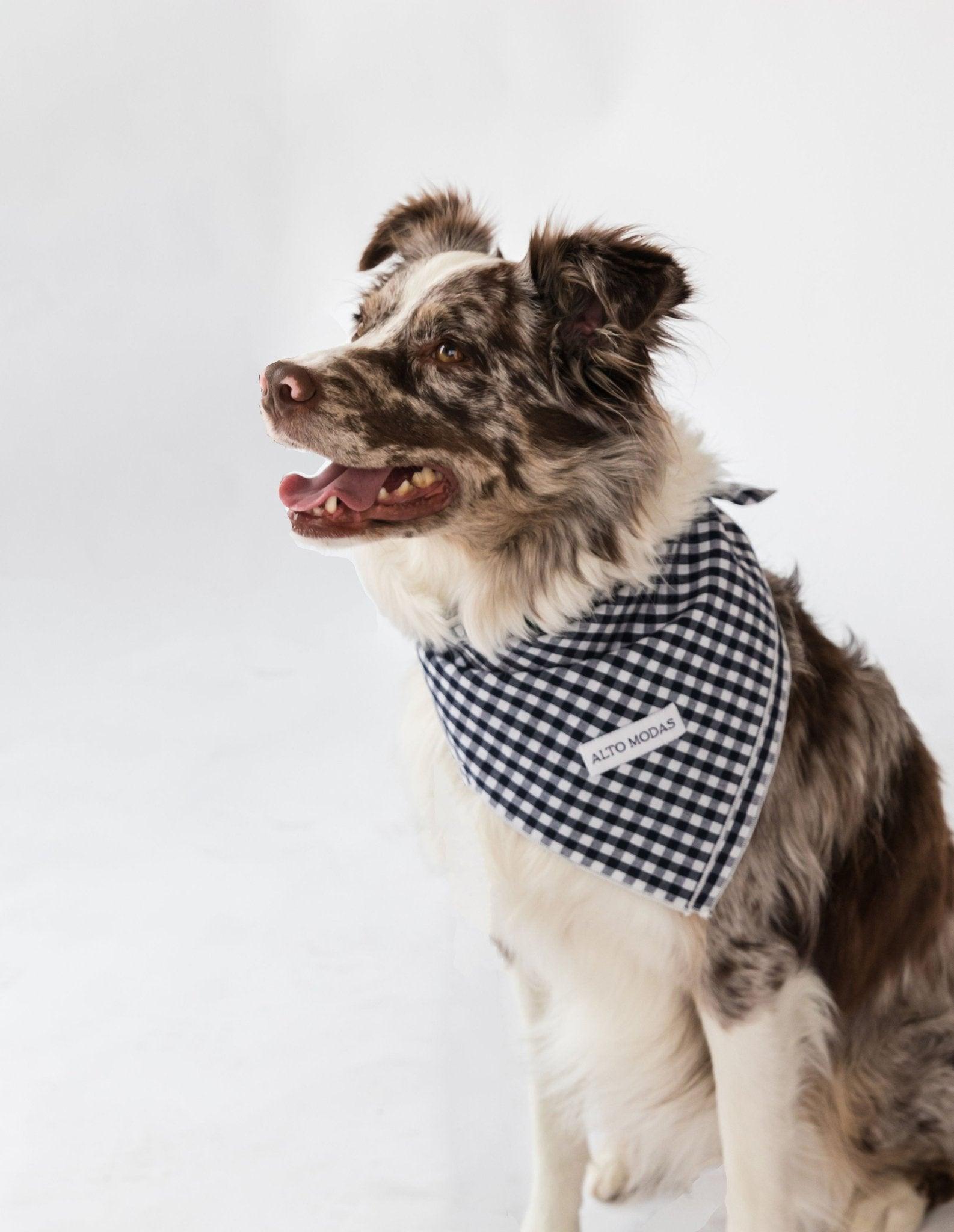 Classic Red & White Dots Seersucker Dog Bandana - Dog Hugs Cat